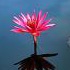 Day 9 of Nadi Shodhana