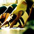 Namaste Yoga Center, Ocean Beach