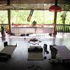 Austin’s Free Day of Yoga